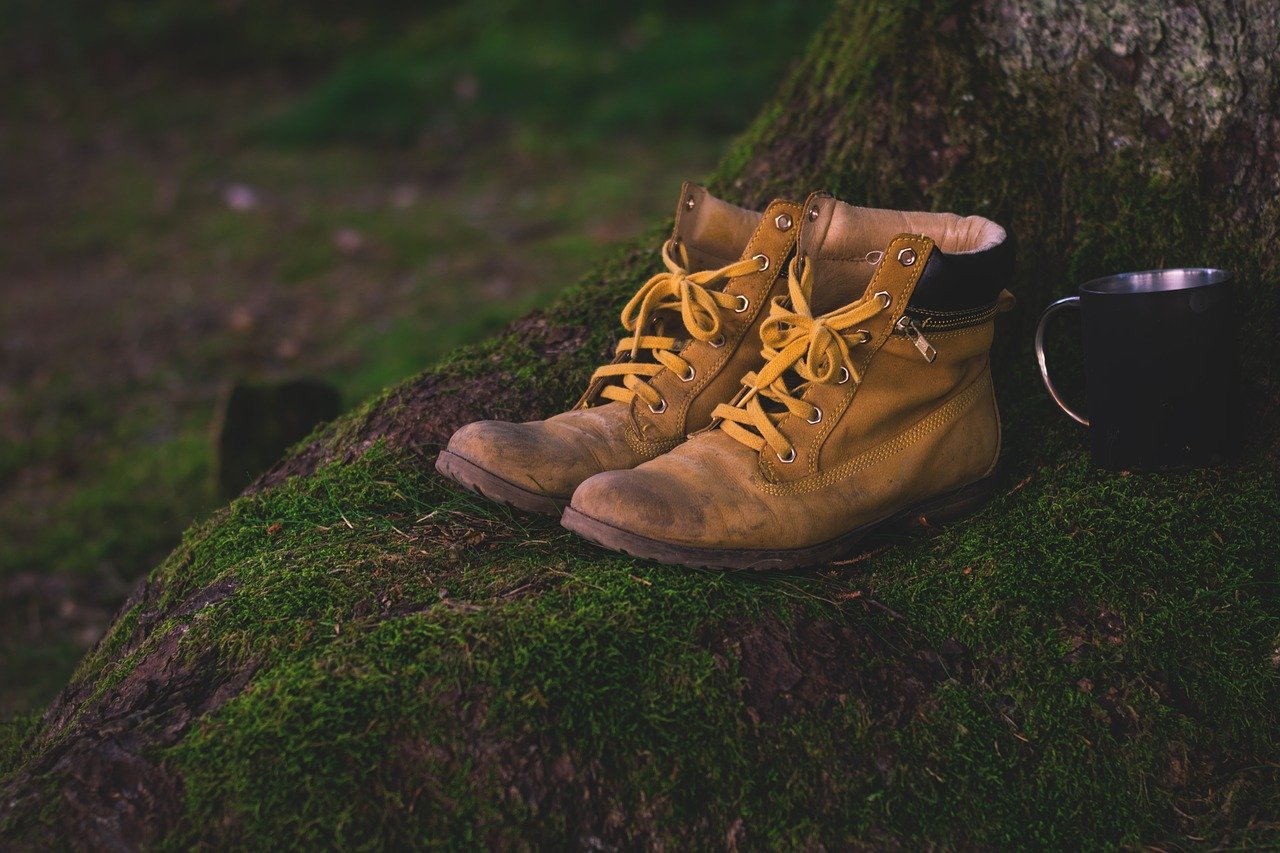 boots, shoes, moss-1638873.jpg